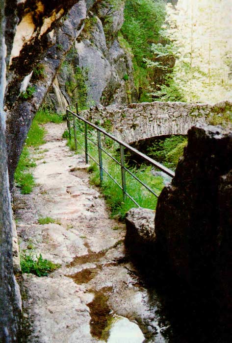 Voie et pont dasn roc.jpg